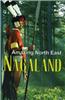 Amazing North East-Nagaland
