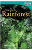 Step Into the Rainforest (Early Fluent Plus)