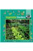 Vegetable Gardens
