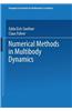 Numerical Methods in Multibody Dynamics
