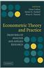 Econometric Theory and Practice: Frontiers of Analysis and Applied Research