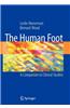 The Human Foot