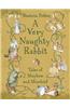Very Naughty Rabbit