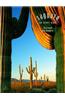 Saguaro: The Desert Giant