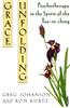 Grace Unfolding: Psychotherapy in the Spirit of Tao-Te Ching