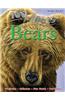 100 Facts Bears: Projects, Quizzes, Fun Facts, Cartoons