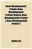 Bone Morphogenetic Protein: Bmpr1a, Bone Morphogenetic Protein 1, Bone Morphogenetic Protein 2, Bone Morphogenetic Protein 4