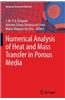 Numerical Analysis of Heat and Mass Transfer in Porous Media