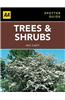 Trees & Shrubs