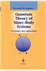Quantum Theory of Many-Body Systems