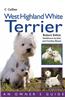 West Highland White Terrier