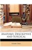 Anatomy, Descriptive and Surgical