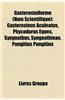 Gasterosteiforme (Nom Scientifique): Gasterosteus Aculeatus, Phycodurus Eques, Syngnathus, Syngnathinae, Pungitius Pungitius