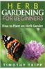 Herb Gardening for Beginners: How to Plant an Herb Garden