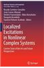 Localized Excitations in Nonlinear Complex Systems: Current State of the Art and Future Perspectives