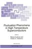 Fluctuation Phenomena in High Temperature Superconductors
