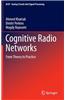 Cognitive Radio Networks