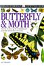 Butterfly & Moth