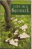 Life Is A Squirrel