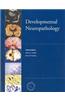 Developmental Neuropathology