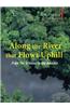 Along the River That Flows Uphill