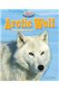 Arctic Wolf: The High Arctic