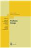 Profinite Groups