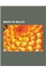 Mines in Wales: Coal Mines in Wales, Copper Mines in Wales, Gold Mines in Wales, Lead Mines in Wales, Slate Mines in Wales, Surface Mi
