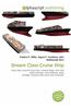 Dream Class Cruise Ship