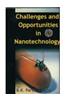 Challenges and Opportunities in Nanotechnology