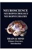 Neuroscience, Neuropsychology, Neuropsychiatry, Brain & Mind: Primer, Overview & Introduction