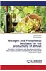 Nitrogen and Phosphorus Fertilizers for the Productivity of Wheat