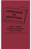 Openness in Adoption: New Practices, New Issues