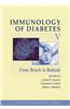 Immunology of Diabetes V: From Bench to Bedside