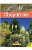 Chaparrals