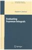 Evaluating Feynman Integrals