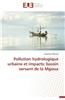 Pollution Hydrologique Urbaine Et Impacts: Bassin Versant de La Mgoua