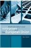Small and Medium-sized Enterprises and the European Union