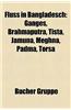 Fluss in Bangladesch: Ganges, Brahmaputra, Tista, Jamuna, Meghna, Padma, Torsa