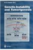 Genetic Instability and Tumorigenesis
