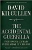 The Accidental Guerrilla: Fighting Small Wars in the Midst of a Big One