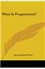 What Is Pragmatism?