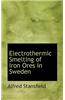 Electrothermic Smelting of Iron Ores in Sweden