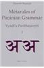 Metarules of P Inian Grammar (2 Vols.): Vyj I's Paribh V Tti
