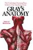 Gray's Anatomy