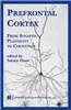 Prefrontal Cortex