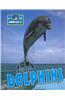Dolphins