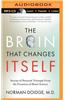 The Brain That Changes Itself