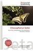 Chocophorus Solisi