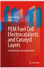 PEM Fuel Cell Electrocatalysts and Catalyst Layers